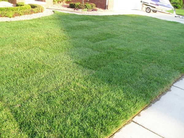 Lawn Care | Greenmile Landscape and Maintenance, LLC - Macomb County ...